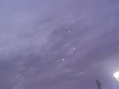 -紫荆广场·花漫里