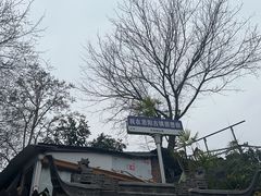 -恩阳古镇