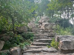 -石家庄市植物园