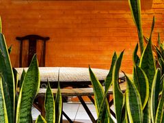 -品德宏·孔雀宴的发源地(金塔园店)