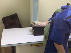 -萌兽医馆·眼科·异宠专科(三里屯店)