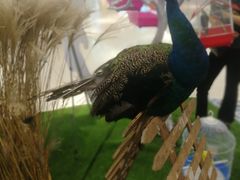 -万达广场(盐城盐都店)