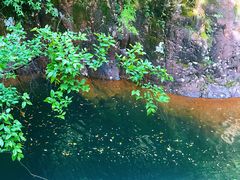 -花岩国家森林公园