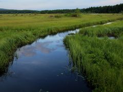 -塞罕坝国家级自然保护区