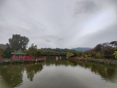 -大屏嶂森林公园