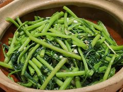 -熠盛粤味·顺德桑拿鸡(永康路店)