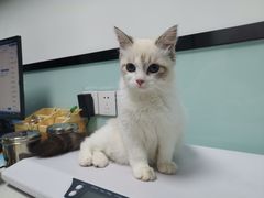 -嘉馨宠物医院·CT影像转诊·心脏科·犬猫全科诊疗中心(下沙大学城院区)