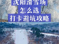 -东北亚滑雪场