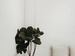 -收获咖啡HARVEST RESERVE(苍山店)