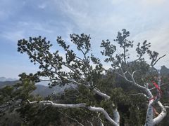-少华山国家森林公园