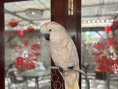 -四海楼(如皋定慧禅寺店)