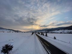 -庆岭迎宾园正宗活鱼馆