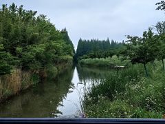 -东平国家森林公园