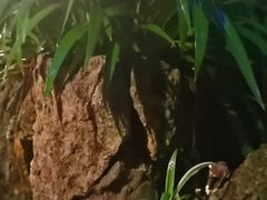 景观位-谷咖啡·鲜花绿植花园餐厅