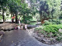 -成都市活水公园
