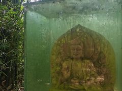 -鹿野苑石刻艺术博物馆