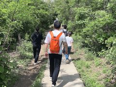 -沈阳辉山风景区