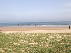 -日照海滨国家森林公园