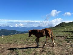 -灵山