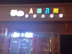 iphone_upload_pic-A猫a狗全科·犬猫异宠·芥西宠物医院(南开总院)