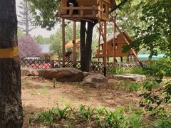 -北京西山国家森林公园