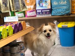 -FAELING PETS美天灵宠物(富力广场店)