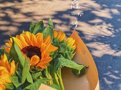 -循礼门鲜花花市(武汉循礼门店)