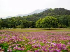 -福建鲤鱼洲酒店