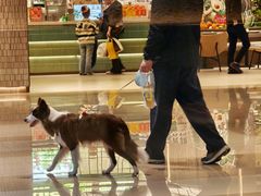 -CityOn熙地港西安购物中心