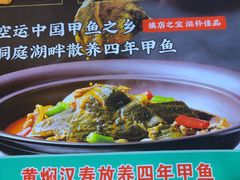 -聚味罗记大排檔·鲜鱼杂·甲鱼煲•龙虾馆(科学馆店)