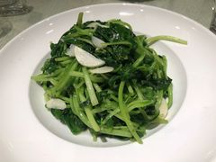 清炒鸡毛菜-朝郡酒家·粤菜(燕大星苑店)