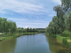 -东郊湿地公园
