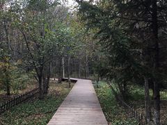 -长春世界雕塑园