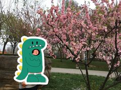 -唐城墙遗址公园