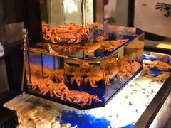 -蟹道乐(道顿堀本店)