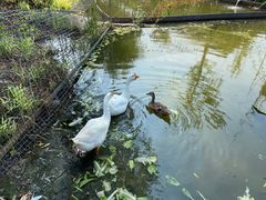 -西山漾湿地公园