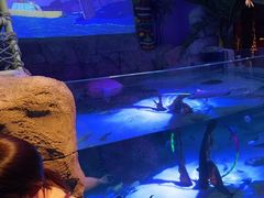 -沈阳海洋探索中心