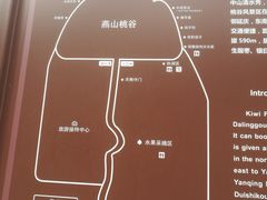 -大岭沟猕猴桃谷风景区