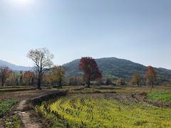 -塔川景区