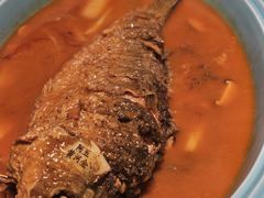 红烧黄河鲤鱼-阿五黄河大鲤鱼(纬三路店)
