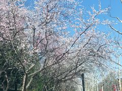 -玲珑塔公园