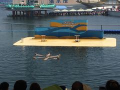 -秦皇岛乐岛海洋王国