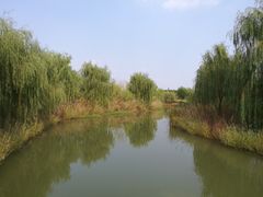 -南湖湿地公园