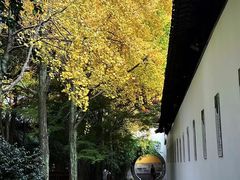 -西园戒幢律寺