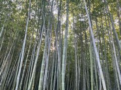 -终南山古楼观历史文化景区