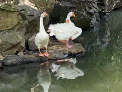 -兰亭风景区