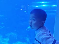 -太平洋海底世界