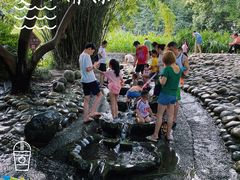 -成都市活水公园