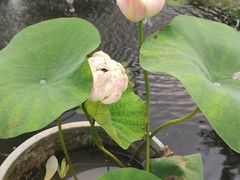 -熙古里艺术村