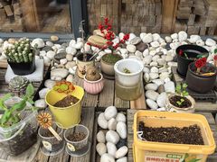 -上海市静安区慧思顿高瞻幼儿园